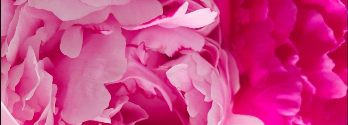 Offer Banner